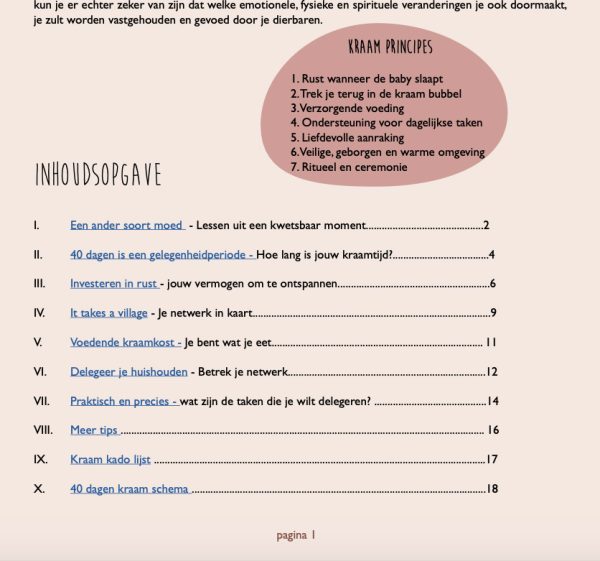 Kraamplan werkboek - Wat nodig is om te worden...
